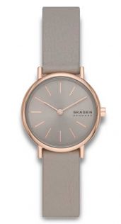 Skagen Signatur Lille SKW3060