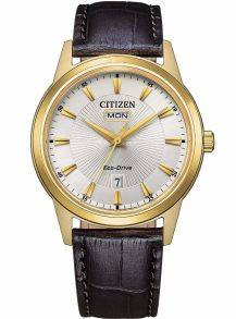 Citizen Eco-Drive reloj de hombre en acero dorado | Esfera de reloj con rayo de sol con día/fecha | AW0102-13A