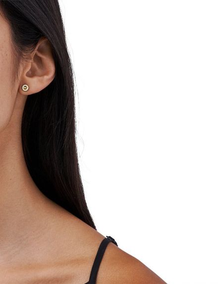 Michael Kors Premium MKC1033AN710