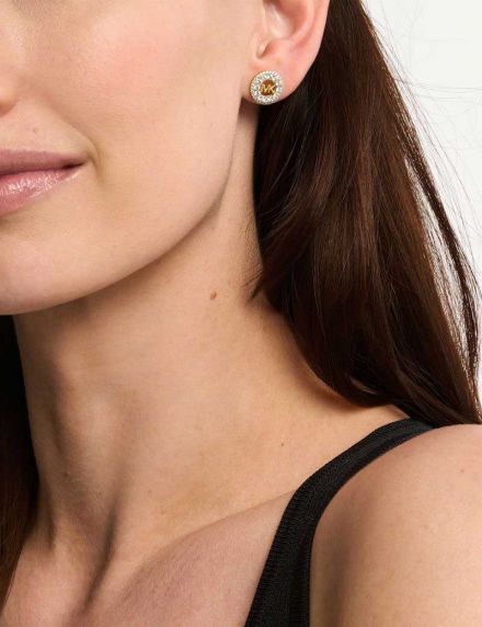 Michael Kors Premium MKC1827710