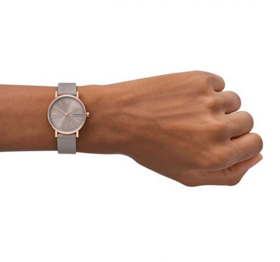 Skagen Signatur Lille SKW3060